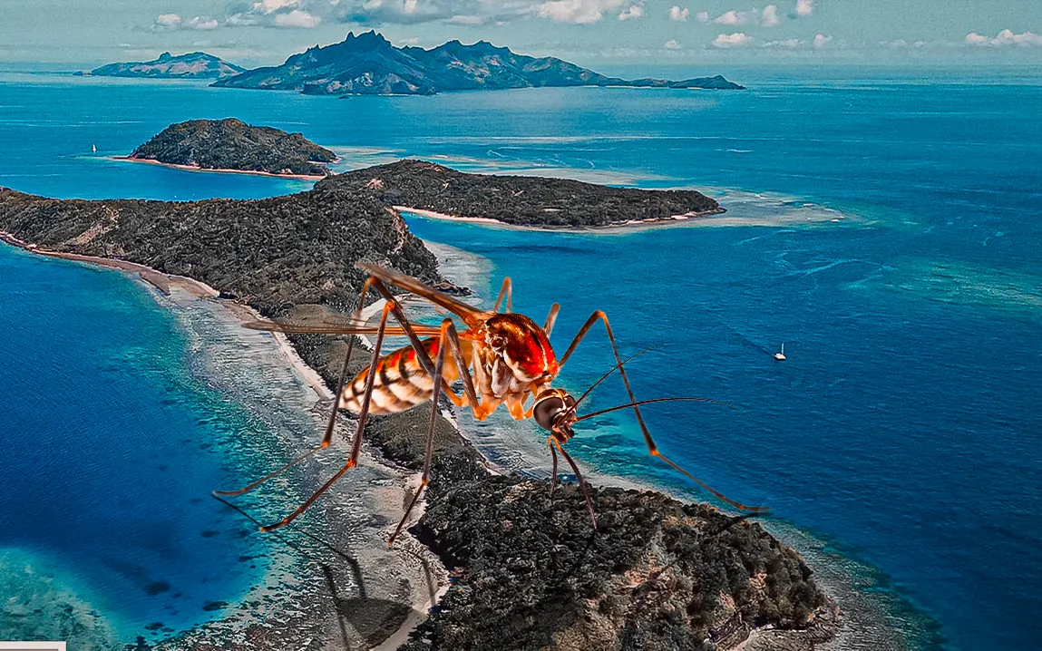 Dengue Fever Outbreak in Fiji Puts Tourists on Alert