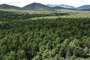 New York hikers called cops thinking their friend died on a trail