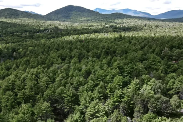 New York hikers called cops thinking their friend died on a trail