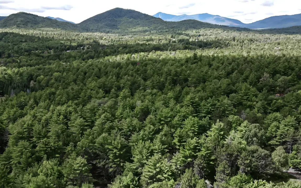 New York hikers called cops thinking their friend died on a trail