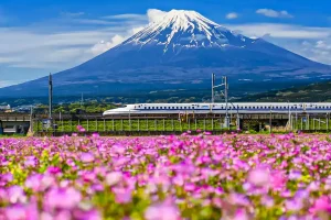 Japan Tourism Faces Unprecedented Growth