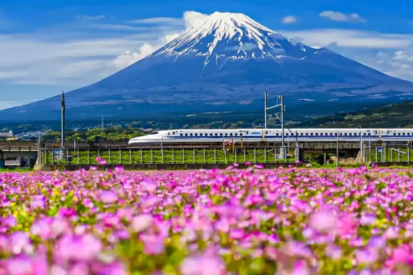 Japan Tourism Faces Unprecedented Growth
